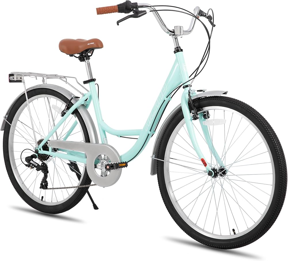 Copenhagen Style Commuter Bike