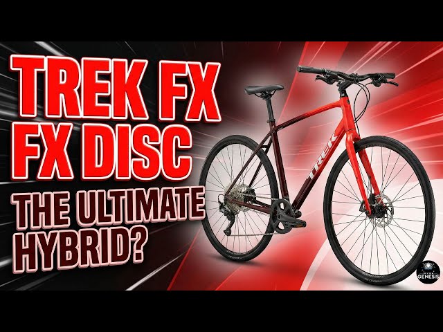 Trek FX 3 Disc Hybrid Bike