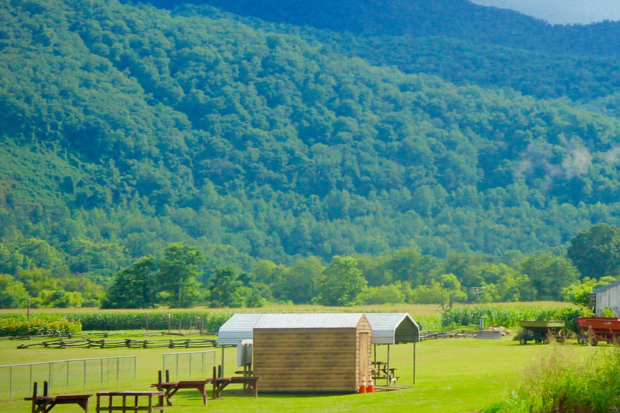 Great Smoky Mountains Railroad scenery