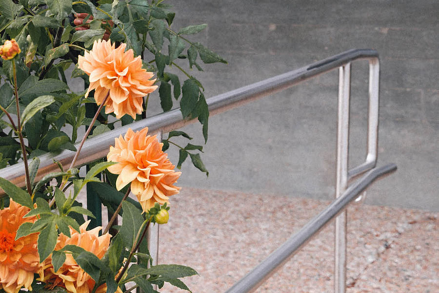 Provincetown Art Association and Museum