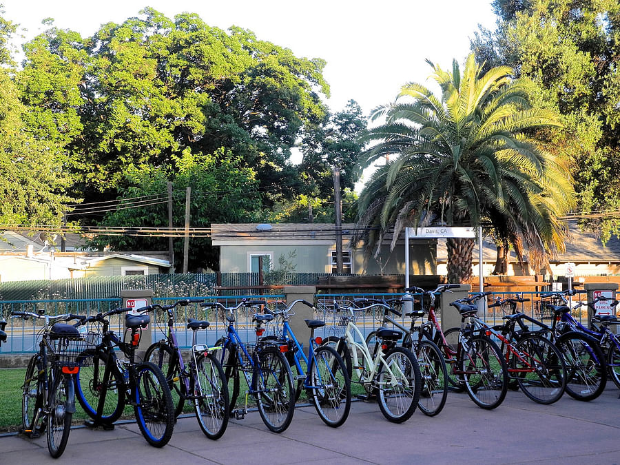 Bicycle paths in Davis, California
